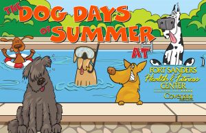 cartoon image of dogs in a pool - one wearing goggles and one in a red float